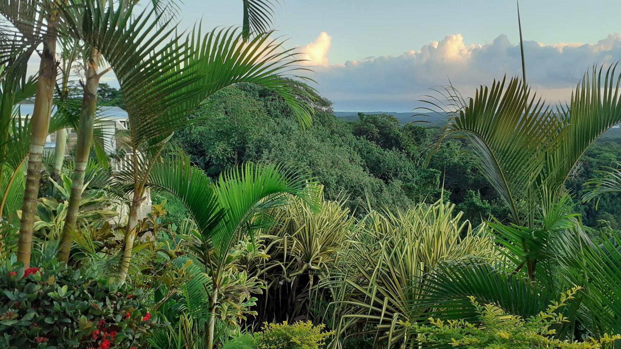 Dave Parker Eco Lodge Hotel Απία Εξωτερικό φωτογραφία