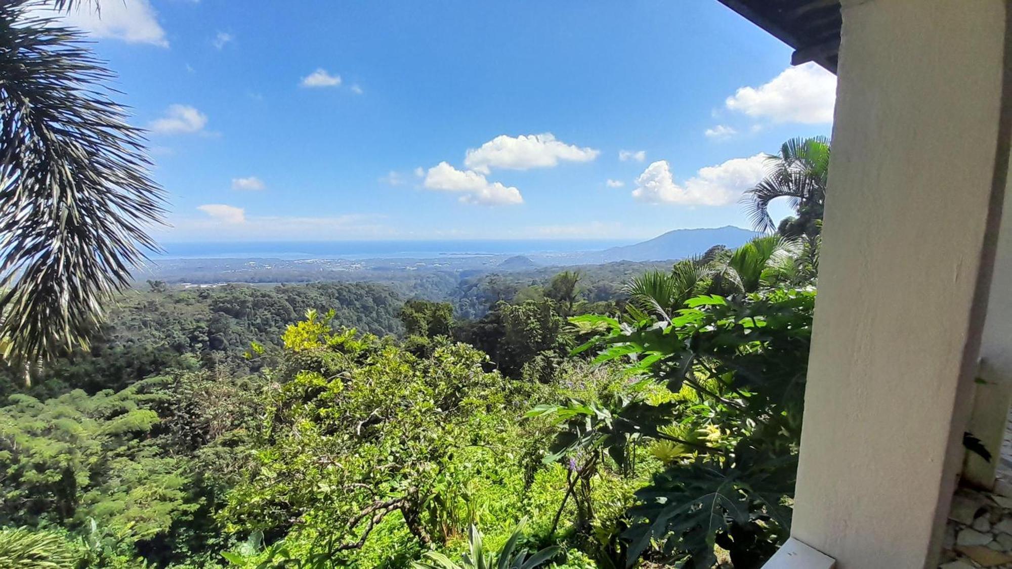 Dave Parker Eco Lodge Hotel Απία Εξωτερικό φωτογραφία