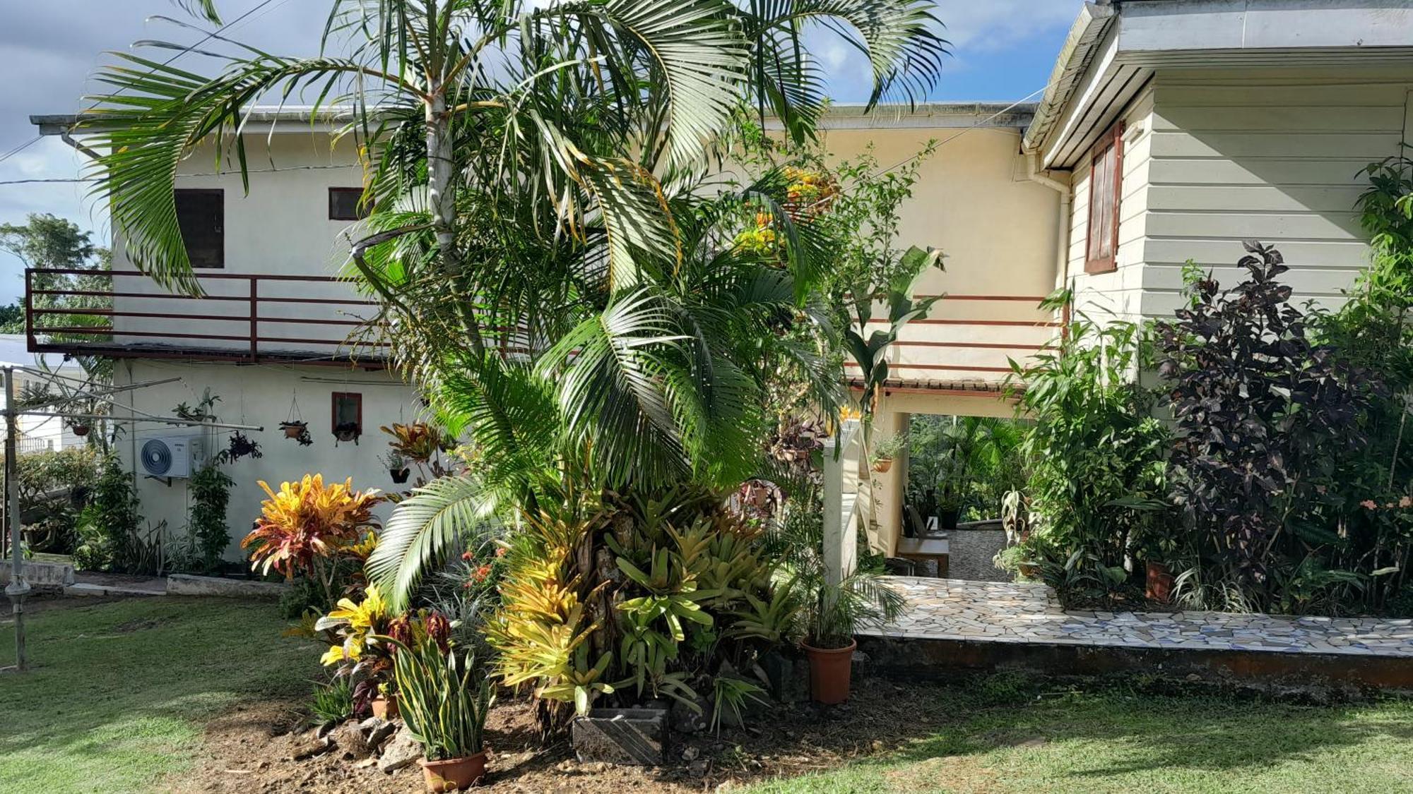 Dave Parker Eco Lodge Hotel Απία Εξωτερικό φωτογραφία