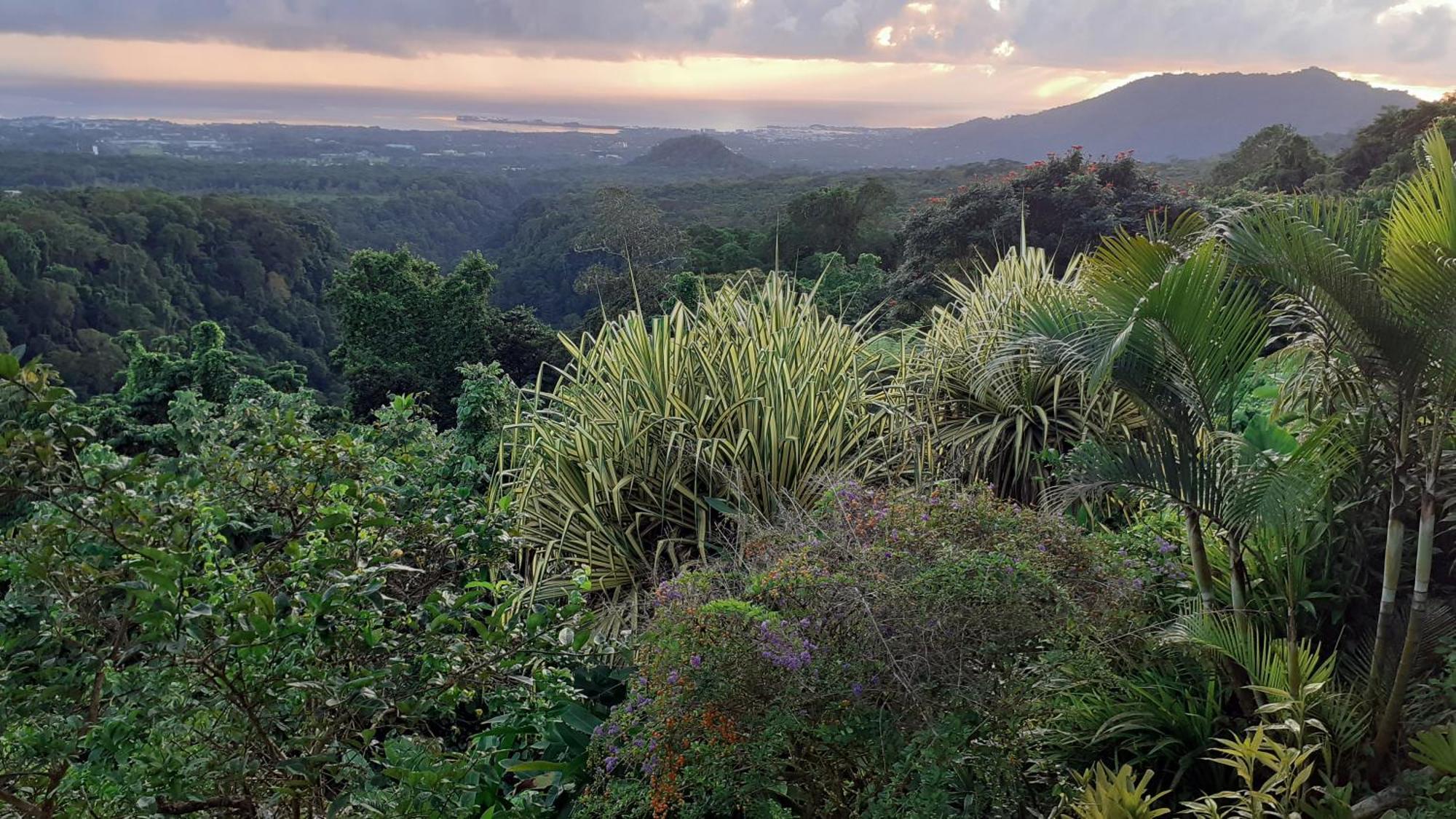Dave Parker Eco Lodge Hotel Απία Εξωτερικό φωτογραφία