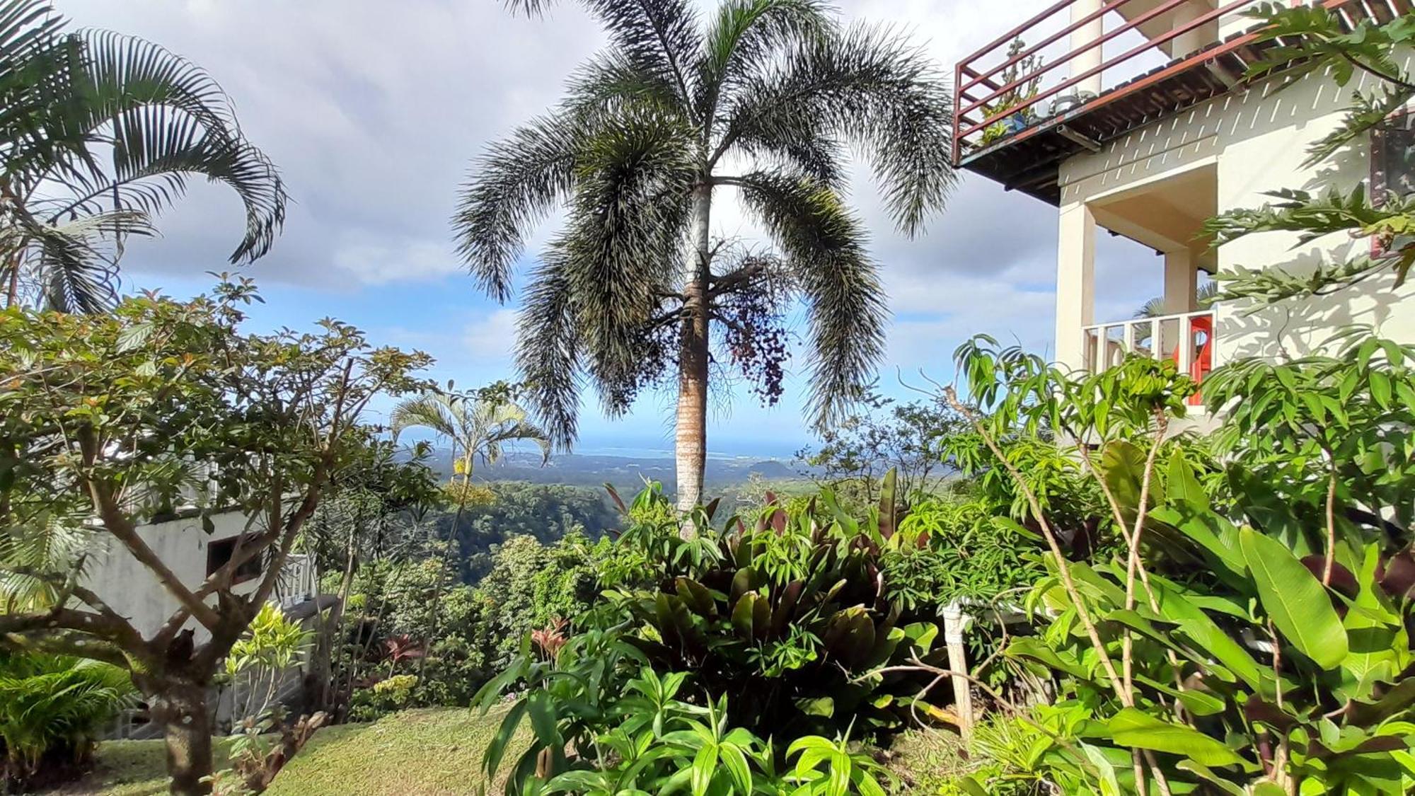 Dave Parker Eco Lodge Hotel Απία Εξωτερικό φωτογραφία